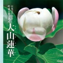 吟詠 二〇二三年度(第五十九回)コロムビア全国吟詠コンクール 課題吟 CD 大山蓮華 【CD】
