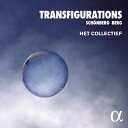 【輸入盤】 Schoenberg シェーンベルク / TRANSFIGURATIONS(変容)〜室内楽編成によるシェーンベルク:浄夜、室内交響曲第1番、ベルク:...