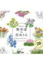季節を彩る 散歩道の花ぬりえ / おくやまひさし 【本】