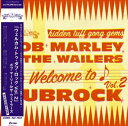 Bob Marley&amp;The Wailers ボブマーリィ＆ザウェイラーズ / Welcome To Dubrock2 (帯付 / アナログレコード) 【LP】