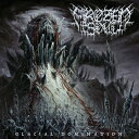 【輸入盤】 Frozen Soul / Glacial Domination 【CD】