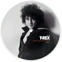 HMVBOOKS online 1Ź㤨T. Rex ƥå / 20th Century Boy (50th Anniversary (ԥ㡼ǥ / 7󥰥쥳 7""SingleۡפβǤʤ4,070ߤˤʤޤ