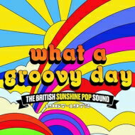 【輸入盤】 What A Groovy Day - The British Sunshine Pop Sound 1967-1972 (3CD Clamshell Box) 【CD】