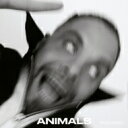 Kassa Overall / Animals 【CD】