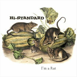 Hi-standard ハイスタンダード / I'm a Rat (ピクチャーディスク仕様 / 7インチシングルレコード) 【7&quot;&quot;Single】