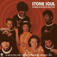 Stone Soul: The Origins Of Sly &amp; The Family Stone 【LP】