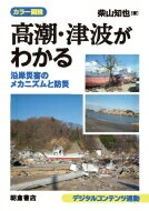 カラー図説　高潮・津波がわかる 沿岸災害のメカニズムと防災 / 柴山知也 【本】