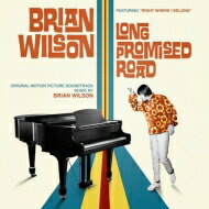 Brian Wilson ブライアンウィルソン (ビーチボーイズ) / Brian Wilson: Long Promised Road (アナログレコード) 【LP】