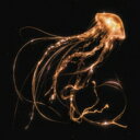 【輸入盤】 Royal Blood / Back To The Water Below 【CD】