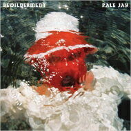 【輸入盤】 Pale Jay / Bewilderment 【CD】