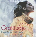 Gratitude 〜SUBURBIA Meets Ultra-vybe Free Soul Treasure 1(アナログレコード) 【LP】