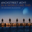  Backstreet Boys バックストリートボーイズ / In A World Like This (10th Anniversary Deluxe Edition) 