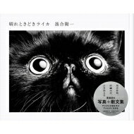 晴れときどきライカ / 落合陽一 【本】