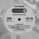 THE PRODIGY vfBW[ / Fat Of The Land 25th Anniversary - Remixes (V@[E@Cidl / 12C`VOR[h) y12inchz