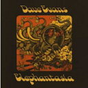 Dave Evans / Elephantasia 【LP】