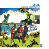 Akira Mizumoto / A.M. 【2023 レコードの日 限定盤】(アナログレコード) 【LP】