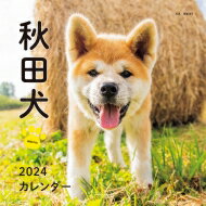 2024年カレンダー 秋田犬 誠文堂新光社カレンダー / 酒巻洋子 【本】