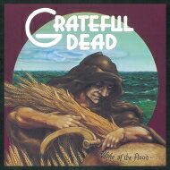 Grateful Dead グレートフルデッド / Wake Of The Flood (50th Anniversary Remaste)(180グラム重量盤レコード) 