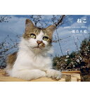 2024 岩合光昭 ねこ Weekly Calendar / 岩合光昭 【本】