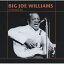 Big Joe Williams / Chicago 63 CD