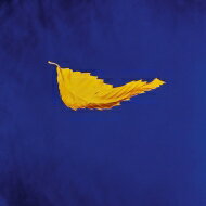 New Order ニューオーダー / True Faith (2023 Remaster) (12インチアナログレコード) 【12inch】