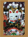 椎名林檎 / 椎名林檎と彼奴等と知る諸行無常 (DVD) 【DVD】