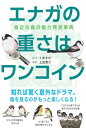 エナガの重さはワンコイン 身近な鳥の魅力発見事典 / くますけ 【本】