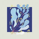 Salamanda (Dance) / In Parallel 【CD】
