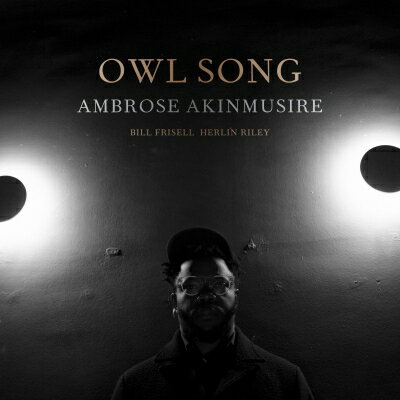 Ambrose Akinmusire / Owl Song（アナログレコード） 【LP】