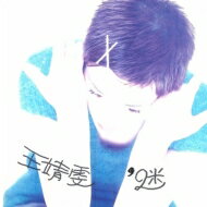 フェイウォン 王菲 (王靖文) / 恋のパズル【初回生産限定盤】(180グラム重量盤レコード) 【LP】
