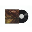 Pay Money To My Pain (P.T.P) ペイマネートゥーマイペイン / gene (2枚組 / 重量盤レコード) 【LP】