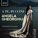 Puccini プッチーニ / 『ア・テ、プッチーニ〜歌曲集』 アンジェラ・ゲオルギュー、ヴィンチェンツォ・スカレーラ(日本語解説付)(国内仕様輸入盤 / アナ...