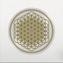 Bring Me The Horizon uO~[UzCY / Sempiternal (10th Anniversary Edition) (sN`[fBXNdl / AiOR[h) yLPz