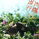 ズーカラデル / 太陽歩行 【CD】
