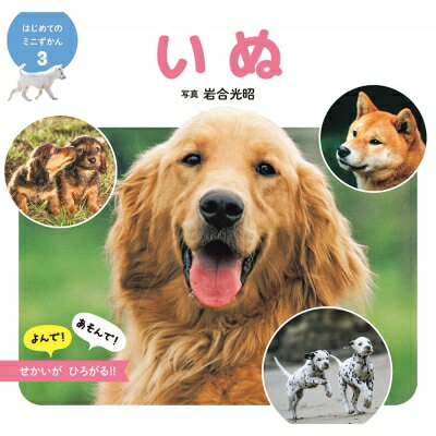 いぬ はじめてのミニずかん / 岩合光昭 【図鑑】