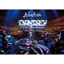 Novelbright / 『Novelbright LIVE TOUR 2023 ～ODYSSEY～ FINAL SERIES』at 横浜アリーナ (3DVD) 【DVD】