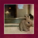 downt / アンダーライト & アフタータイム 【CD】
