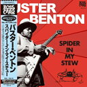 Buster Benton / Spider In My Stew (ѕt /  / 10C`AiOR[h) y12inchz