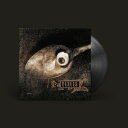 Pixies ピクシーズ / Pixies At The BBC (3枚組アナログレコード) 【LP】