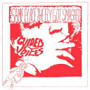 Guided By Voices ガイディドバイボイセズ / Same Place The Fly Got Smashed (Colored Vinyl) (Clear Vinyl) 【LP】