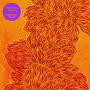 【輸入盤】 Nubiyan Twist / Find Your Flame 【CD】