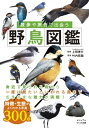 散歩や旅先で出会う野鳥図鑑 オールカラー300点 ビジュアルだいわ文庫 / 上田恵介 【文庫】