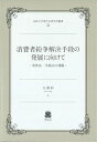 消費者紛争解決手段の発展に向けて 実体法・手続法の課題 法政大学現代法研究所叢書 / 大澤彩 【全集・双書】