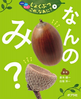 つぼみ・たね・はっぱ…しょくぶつこれ、なあに? 4 なんのみ? / 斎木健一 【本】