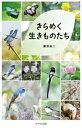 出荷目安の詳細はこちら内容詳細「輝きを放つ花や昆虫、野鳥」「ワクワクするような野生的な動物」など、関東近郊の公園や低山などに生息している草花、昆虫、野鳥、哺乳類の4種をカテゴリ別に紹介し、美しく野生的で人気のある動植物を「きらめく」という定義で写真と共に解説して紹介する生きもの図鑑。