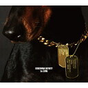 DOBERMAN INFINITY / 1st SONG 【10周年記念盤 初回生産限定盤】(2CD) 【CD Maxi】