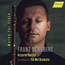 【輸入盤】 Schubert シューベルト / アルペジョーネ・ソナタ、『しぼめる花』による序奏と変奏曲〜フルートと弦楽五重奏版、他 クシシュトフ・カチカ、メト...