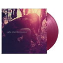 Sophie Zelmani / Love Affair (Translucent Purple Coloured Vinyl)(180g) 【LP】