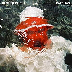 Pale Jay / Bewilderment 【LP】
