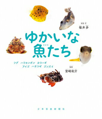 ゆかいな魚たち フグ、ハリセンボン、カワハギ、アイゴ、ハオコゼ、ゴンズイ / 福井歩 